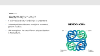 Quaternary structure
• It is very basic structure and simple to understand.
• Different polypeptide chains arranged in man...