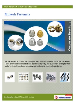 We are known as one of the distinguished manufacturers of Industrial Fasteners.
These are widely demanded and acknowledged by our customers owing to their
features like dimensional accuracy, corrosion and chemical resistance.
 