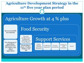 Agriculture Development Strategy in the
        11th five year plan period
 
