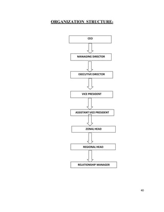40
ORGANIZATION STRUCTURE-
MANAGING DIRECTOR
RELATIONSHIP MANAGER
REGIONAL HEAD
ZONAL HEAD
ASSISTANT VICE PRESIDENT
VICE PRESIDENT
CEO
EXECUTIVE DIRECTOR
 