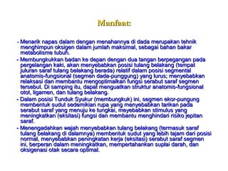 Manfaat:Manfaat:
-- Menarik napas dalam dengan menahannya di dada merupakan tehnikMenarik napas dalam dengan menahannya di dada merupakan tehnik
menghimpun oksigen dalam jumlah maksimal, sebagai bahan bakarmenghimpun oksigen dalam jumlah maksimal, sebagai bahan bakar
metabolisme tubuh.metabolisme tubuh.
- Membungkukkan badan ke depan dengan dua tangan berpegangan pada- Membungkukkan badan ke depan dengan dua tangan berpegangan pada
pergelangan kaki, akan menyebabkan posisi tulang belakang (tempatpergelangan kaki, akan menyebabkan posisi tulang belakang (tempat
juluran saraf tulang belakang berada) relatif dalam posisi segmentaljuluran saraf tulang belakang berada) relatif dalam posisi segmental
anatomis-fungsional (segmen dada-punggung) yang lurus; menyebabkananatomis-fungsional (segmen dada-punggung) yang lurus; menyebabkan
relaksasi dan membantu mengoptimalkan fungsi serabut saraf segmenrelaksasi dan membantu mengoptimalkan fungsi serabut saraf segmen
tersebut. Di samping itu, dapat menguatkan struktur anatomis-fungsionaltersebut. Di samping itu, dapat menguatkan struktur anatomis-fungsional
otot, ligamen, dan tulang belakang.otot, ligamen, dan tulang belakang.
- Dalam posisi Tunduk Syukur (membungkuk) ini, segmen ekor-pungung- Dalam posisi Tunduk Syukur (membungkuk) ini, segmen ekor-pungung
membentuk sudut sedemikian rupa yang menyebabkan tarikan padamembentuk sudut sedemikian rupa yang menyebabkan tarikan pada
serabut saraf yang menuju ke tungkai, meyebabkan stimulus yangserabut saraf yang menuju ke tungkai, meyebabkan stimulus yang
meningkatkan (eksitasi) fungsi dan membantu menghindari risiko jepitanmeningkatkan (eksitasi) fungsi dan membantu menghindari risiko jepitan
saraf.saraf.
- Menengadahkan wajah menyebabkan tulang belakang (termasuk saraf- Menengadahkan wajah menyebabkan tulang belakang (termasuk saraf
tulang belakang di dalamnya) membentuk sudut yang lebih tajam dari posisitulang belakang di dalamnya) membentuk sudut yang lebih tajam dari posisi
normal, menyebabkan peningkatan kerja (eksitasi) serabut saraf segmennormal, menyebabkan peningkatan kerja (eksitasi) serabut saraf segmen
ini, berperan dalam meningkatkan, mempertahankan suplai darah, danini, berperan dalam meningkatkan, mempertahankan suplai darah, dan
oksigenasi otak secara optimal.oksigenasi otak secara optimal.
 