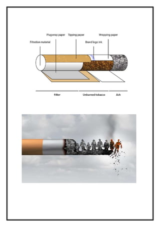 how is nicotine extracted from tobacco Kentucky Natural Vaping Liquid How Nicotine Pouches Are Made: