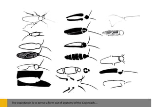 The expectation is to derive a form out of anatomy of the Cockroach….
 