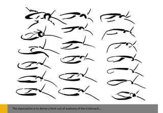 The expectation is to derive a form out of anatomy of the Cockroach….
 