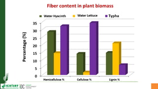 Asia Regional Planning Meeting-Efficient use of limited water resource:Safe Reuse of Wastewater (grey water) in Agriculture by Dr Mukund Patil