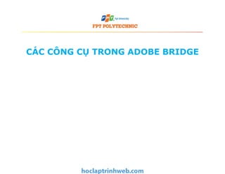 Bài 2 Sử dụng phần mềm ADOBE BRIDGE & các thao tác làm việc cơ bản ...