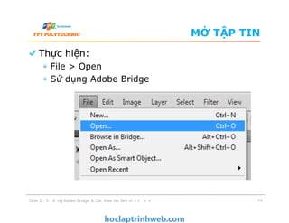 Bài 2 Sử dụng phần mềm ADOBE BRIDGE & các thao tác làm việc cơ bản ...