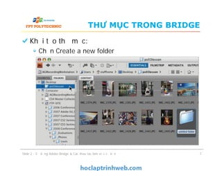 Bài 2 Sử dụng phần mềm ADOBE BRIDGE & các thao tác làm việc cơ bản ...