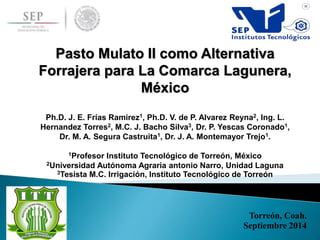 Torreón, Coah.
Septiembre 2014
Pasto Mulato II como Alternativa
Forrajera para La Comarca Lagunera,
México
Ph.D. J. E. Frí...