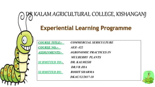 DR KALAM AGRICULTURAL COLLEGE, KISHANGANJ
COURSE TITLE:- COMMERCIAL SERICULTURE
COURSE NO.:- AEZ- 422
ASSIGNMENTS:- AGRONOMIC PRACTICES IN
MULBERRY PLANTS
SUBMITTED TO:- DR. KALMESH
DR.VB JHA
SUBMITTED BY: ROHIT SHARMA
DKAC/12/2017-18
 