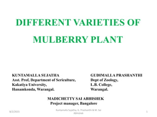 DIFFERENT VARIETIES OF
MULBERRY PLANT
KUNTAMALLA SUJATHA GUDIMALLA PRASHANTHI
Asst. Prof, Department of Sericulture, Dept of Zoology,
Kakatiya University, L.B. College,
Hanamkonda, Warangal. Warangal.
MADICHETTY SAI ABHISHEK
Project manager, Bangalore
8/2/2023 1
Kuntamalla Sujatha, G. Prashanthi & M. Sai
Abhishek
 