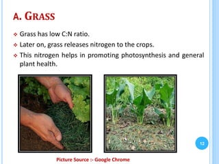 A. GRASS
 Grass has low C:N ratio.
 Later on, grass releases nitrogen to the crops.
 This nitrogen helps in promoting photosynthesis and general
plant health.
12
Picture Source :- Google Chrome
 