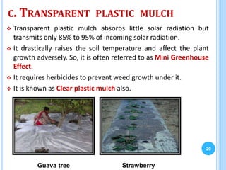 C. TRANSPARENT PLASTIC MULCH
 Transparent plastic mulch absorbs little solar radiation but
transmits only 85% to 95% of incoming solar radiation.
 It drastically raises the soil temperature and affect the plant
growth adversely. So, it is often referred to as Mini Greenhouse
Effect.
 It requires herbicides to prevent weed growth under it.
 It is known as Clear plastic mulch also.
20
Guava tree Strawberry
 