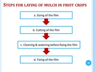 STEPS FOR LAYING OF MULCH IN FRUIT CROPS
29
a. Sizing of the film
b. Cutting of the film
c. Cleaning & watering before fixing the film
d. Fixing of the film
 