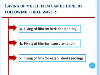 LAYING OF MULCH FILM CAN BE DONE BY
FOLLOWING THREE WAYS :-
36
a. Fixing of film on beds for planting
b. Fixing of film for transplantation
c. Fixing of film for established seedlings
 
