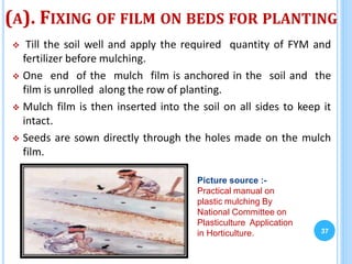 (A). FIXING OF FILM ON BEDS FOR PLANTING
 Till the soil well and apply the required quantity of FYM and
fertilizer before mulching.
 One end of the mulch film is anchored in the soil and the
film is unrolled along the row of planting.
 Mulch film is then inserted into the soil on all sides to keep it
intact.
 Seeds are sown directly through the holes made on the mulch
film.
37
Picture source :-
Practical manual on
plastic mulching By
National Committee on
Plasticulture Application
in Horticulture.
 