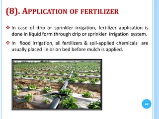 (8). APPLICATION OF FERTILIZER
44
 In case of drip or sprinkler irrigation, fertilizer application is
done in liquid form through drip or sprinkler irrigation system.
 In flood irrigation, all fertilizers & soil-applied chemicals are
usually placed in or on bed before mulch is applied.
 