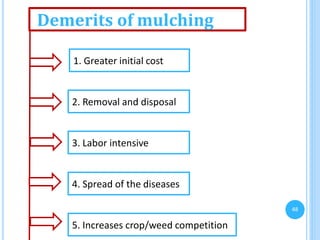 Demerits of mulching
2. Removal and disposal
3. Labor intensive
4. Spread of the diseases
5. Increases crop/weed competition
1. Greater initial cost
48
 