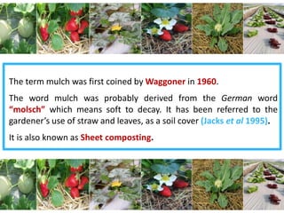 5
The term mulch was first coined by Waggoner in 1960.
The word mulch was probably derived from the German word
“molsch” which means soft to decay. It has been referred to the
gardener’s use of straw and leaves, as a soil cover (Jacks et al 1995).
It is also known as Sheet composting.
 