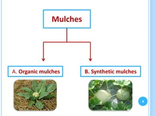 9
Mulches
A. Organic mulches B. Synthetic mulches
 
