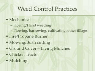 Mulching and other methods of weed control (3).ppt