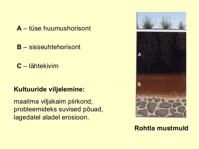 Pildiotsingu rohtla mustmuld tulemus