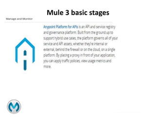 Mule 3 basic stages
 