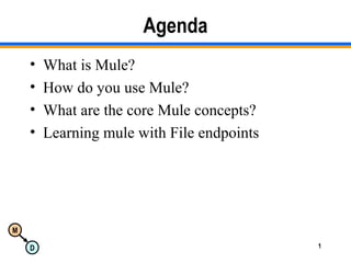 M
D 1
Agenda
• What is Mule?
• How do you use Mule?
• What are the core Mule concepts?
• Learning mule with File endpoints
 