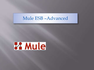 Mule ESB –Advanced
 