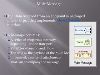 Mule Message
The Data received from an endpoint is packaged
into an object that implements Mule Message
interface
A Message contains:
A series of properties that vary
depending on the transport
Variables – Session and Flow
The data as the payload of the Mule Message.
If required, a series of attachments
that can accompany the message.
 