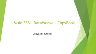 Mule ESB – DataWeave - CopyBook
CopyBook Tutorial
 