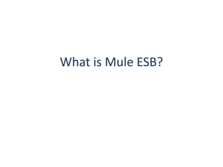 What is Mule ESB?
 