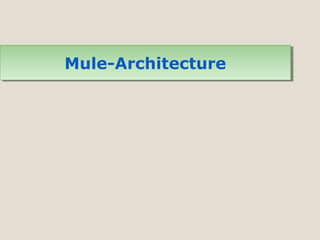 Mule-ArchitectureMule-Architecture
 