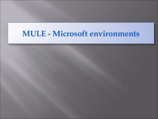 MULE - Microsoft environments
 