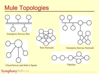 © 2005
Mule Topologies
Enterprise Service Bus
Client/Server and Hub n' Spoke
Peer Network
Pipeline
Enterprise Service Network
 