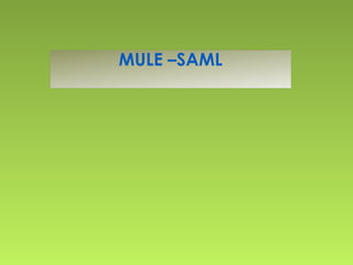 MULE –SAML
 
