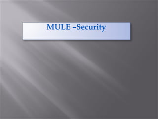 MULE –Security
 
