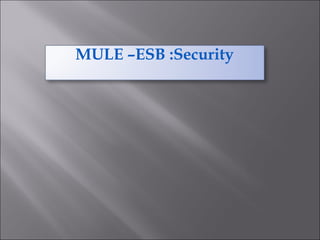 MULE –ESB :Security
 