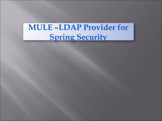 MULE –LDAP Provider for
Spring Security
 