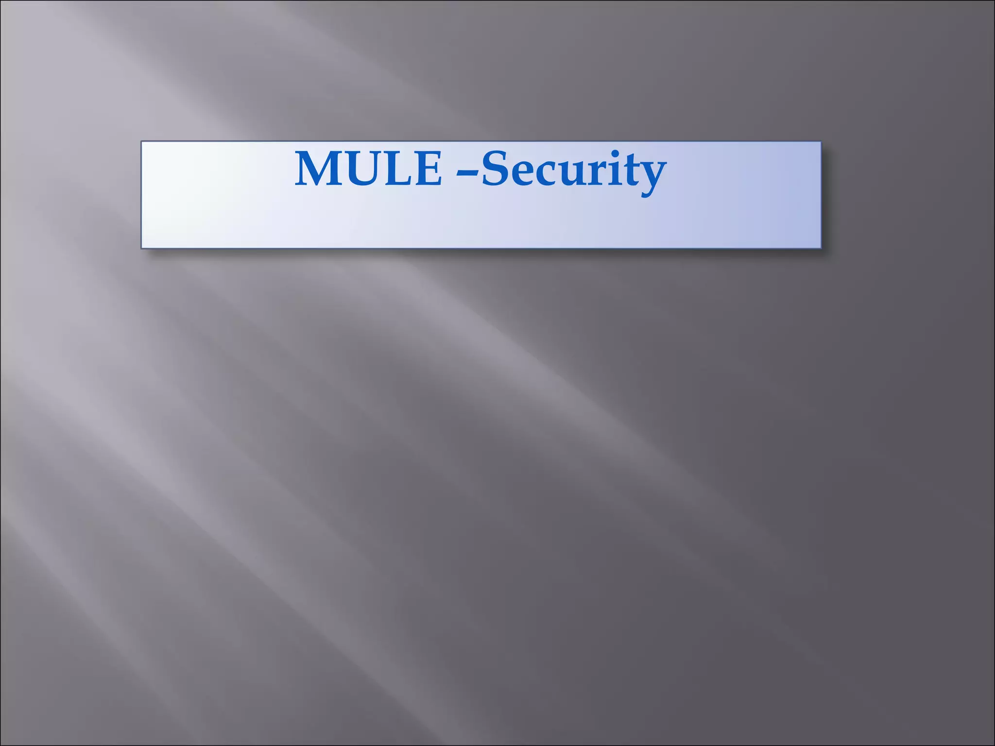 MULE –Security
 