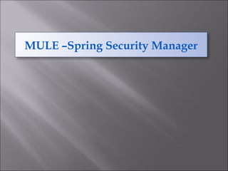 MULE –Spring Security Manager
 