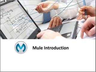 Mule Introduction
 