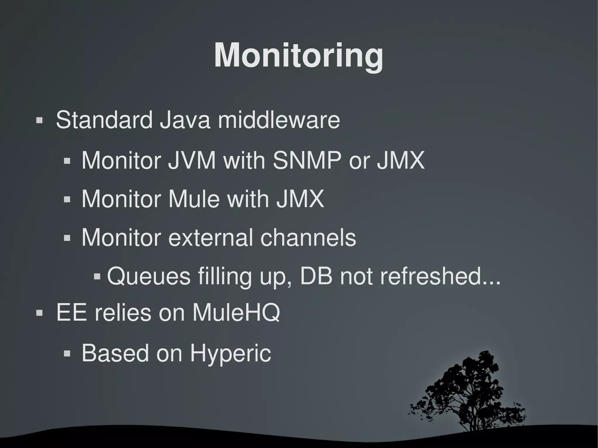 Monitoring
   Standard Java middleware
       Monitor JVM with SNMP or JMX
       Monitor Mule with JMX
       Monitor external channels
                Queues filling up, DB not refreshed...
   EE relies on MuleHQ
       Based on Hyperic


                              
 