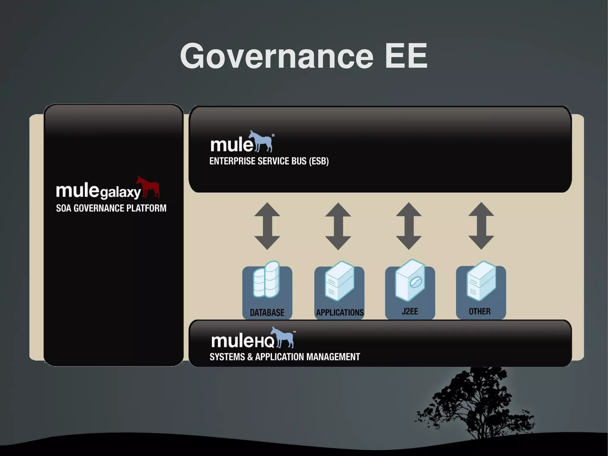Governance EE




        
 