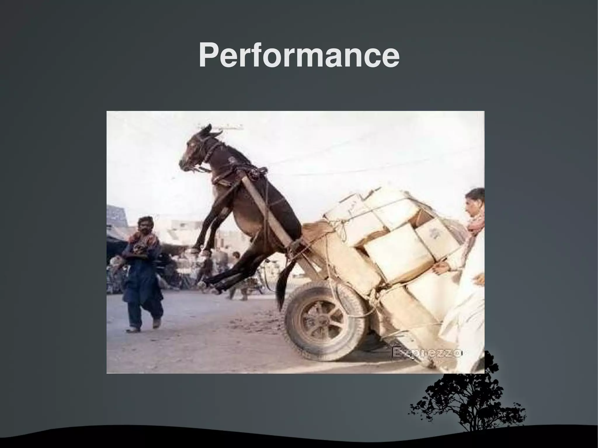 Performance




       
 