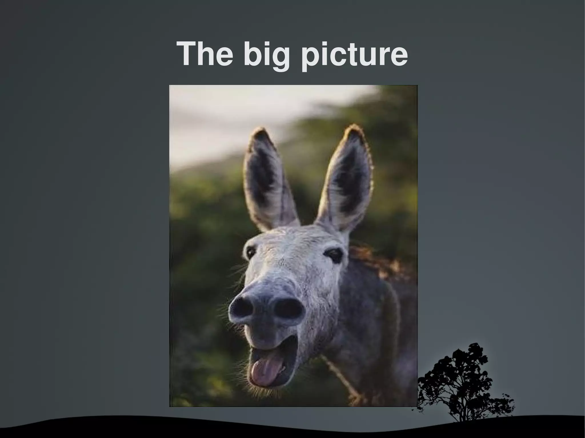 The big picture




        
 