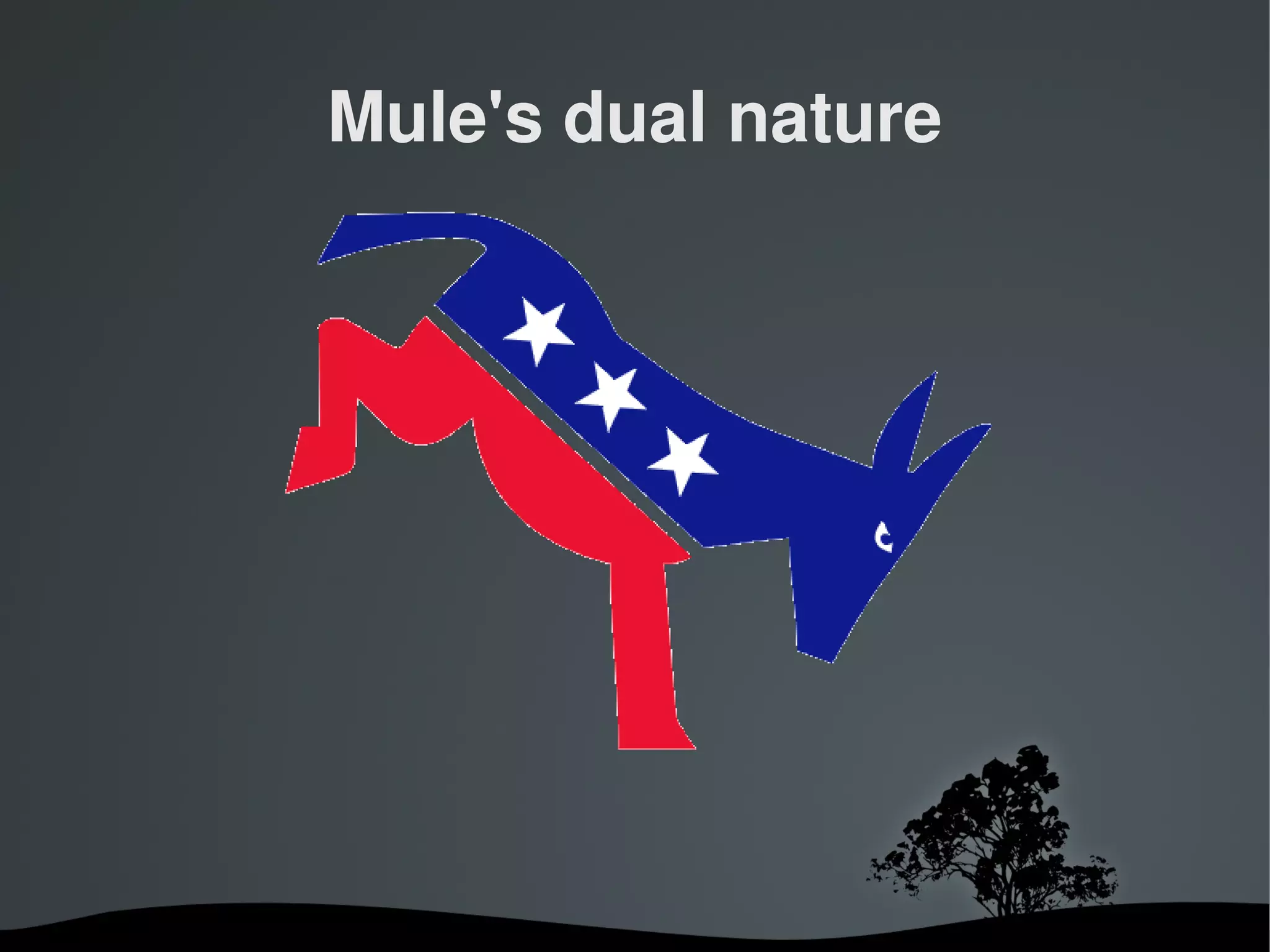 Mule's dual nature




          
 