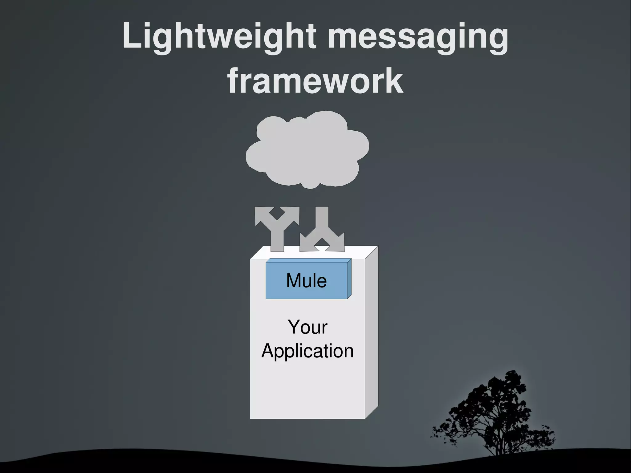 Lightweight messaging 
          framework




                 Mule

                 Your
               Application




            
 