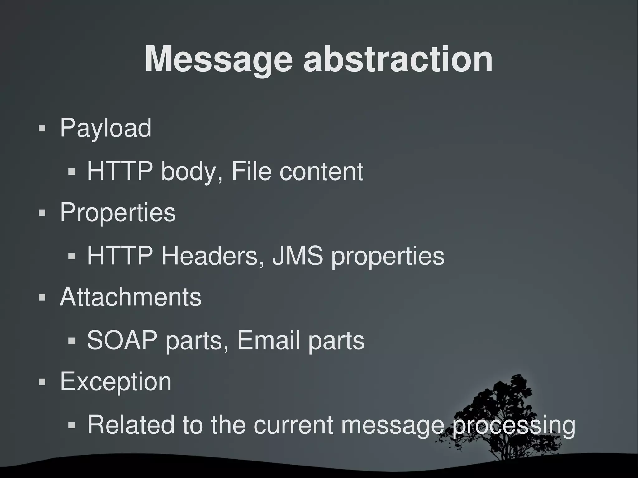 Message abstraction
   Payload
       HTTP body, File content
   Properties
       HTTP Headers, JMS properties
   Attachments
       SOAP parts, Email parts
   Exception
       Related to the current message processing
                       
 