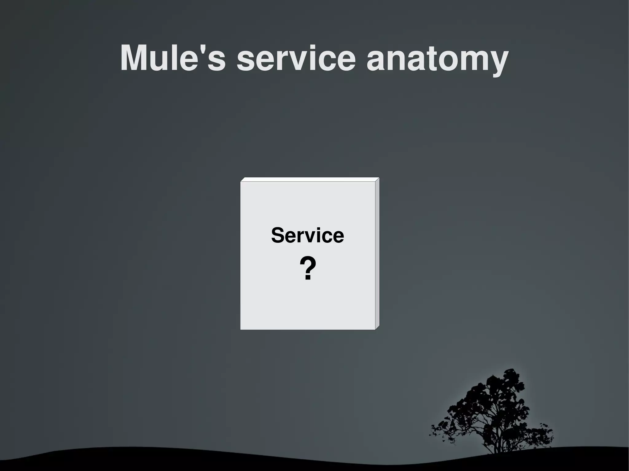 Mule's service anatomy



               Service
                 ?




            
 